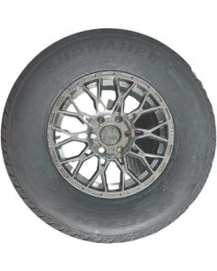 Rydanz 900 R17 122/119S Showaheen 2025